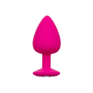Plug Anal