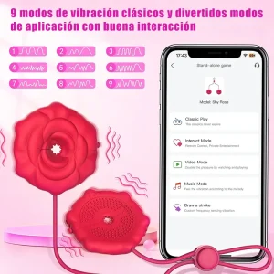 Pinzas Vibradoras con Control App y Cadena BDSM