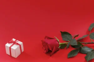 rose and gift box