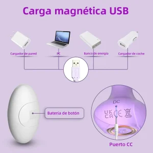 Set de 6 Plug Anales Vibradores con Control Remoto