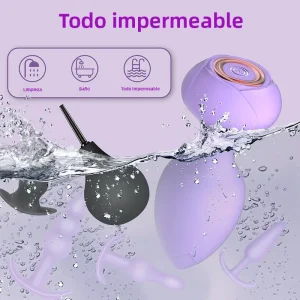 Set de 6 Plug Anales Vibradores con Control Remoto